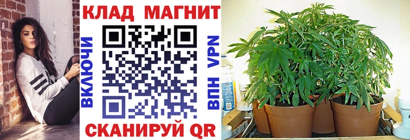 Купить закладку Cocaine Героин МАРИХУАНА Мефедрон Альфа ПВП Кола