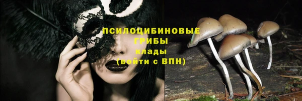 экстази Кулебаки