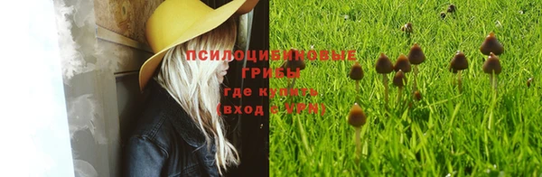 синтетический гашиш Куйбышев