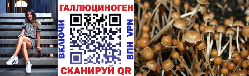 Галлюциногенные грибы мухоморы  Купить  Кола 